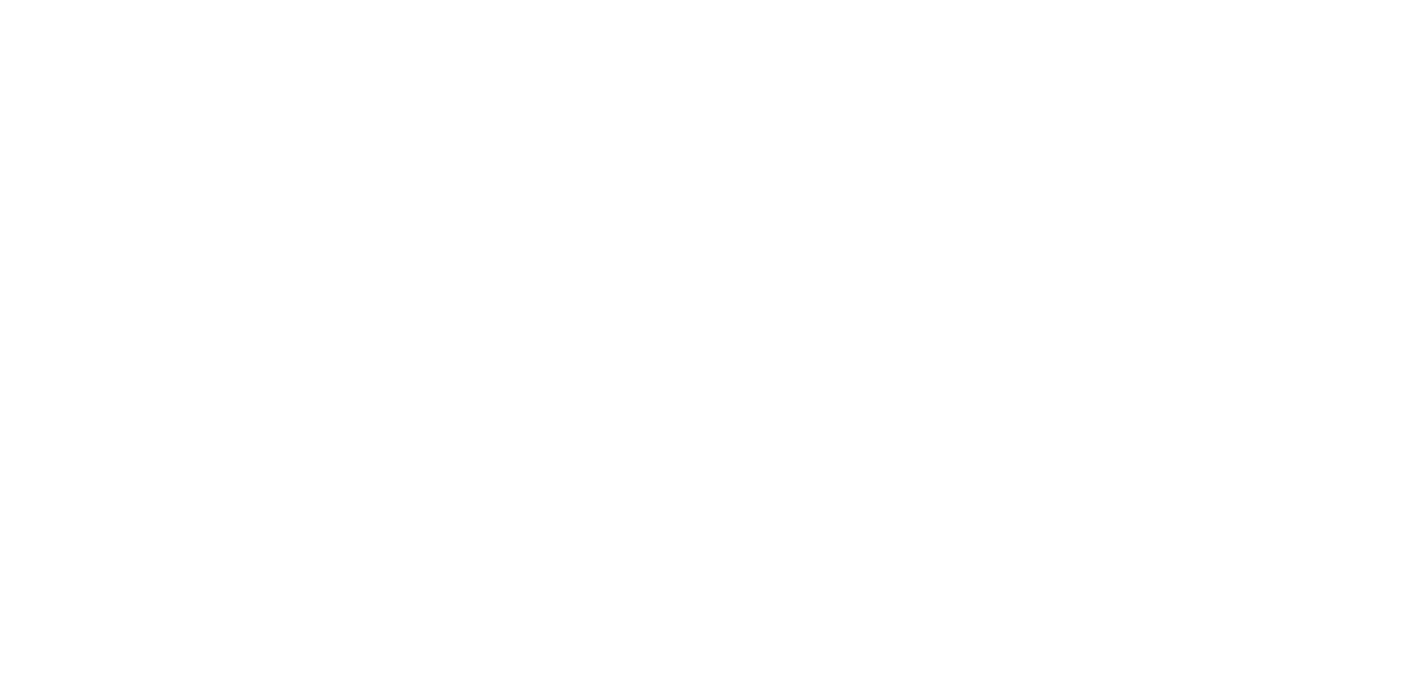 Wingman Executive Coaching